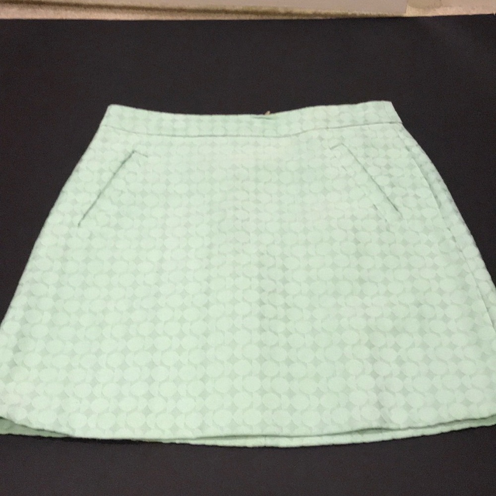 Limited Skirt